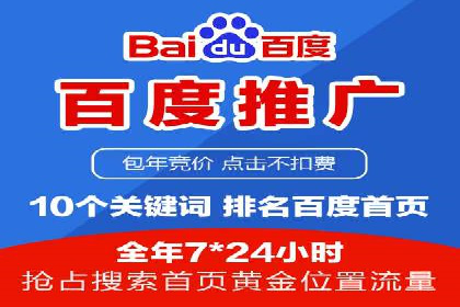 高效百度推广案例解析及优化策略